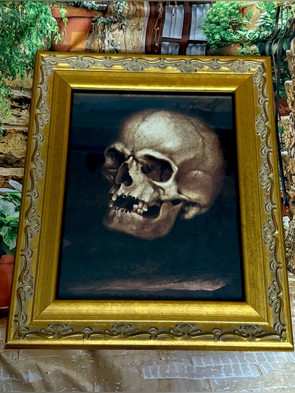 🔥Momento Mori Skull Art Death Pagan Mythology Magic Vintage Gilded Frame💀✨
